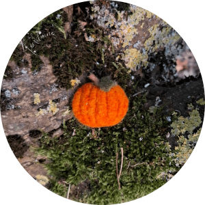 Broche citrouille