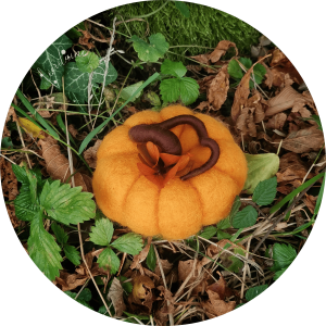 Citrouille orangée