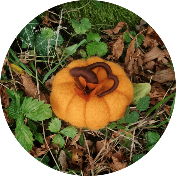 Citrouille orangée
