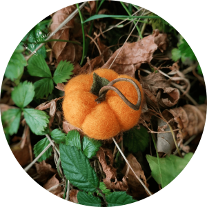 Mini Citrouille