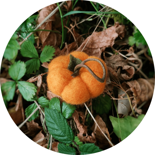 Mini Citrouille