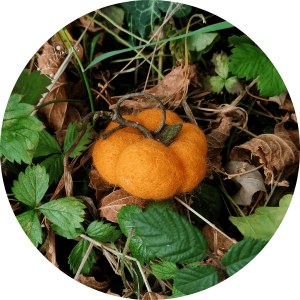 Mini Citrouille