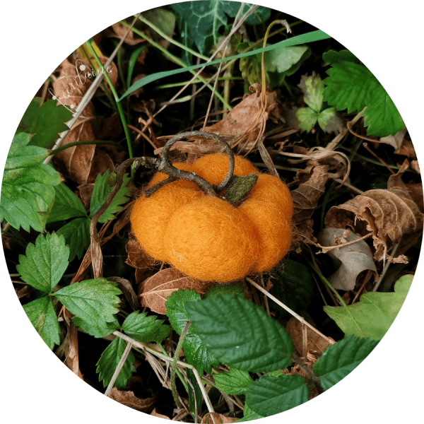 Mini Citrouille