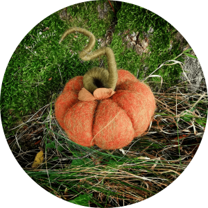 Citrouille orange et verte chinée
