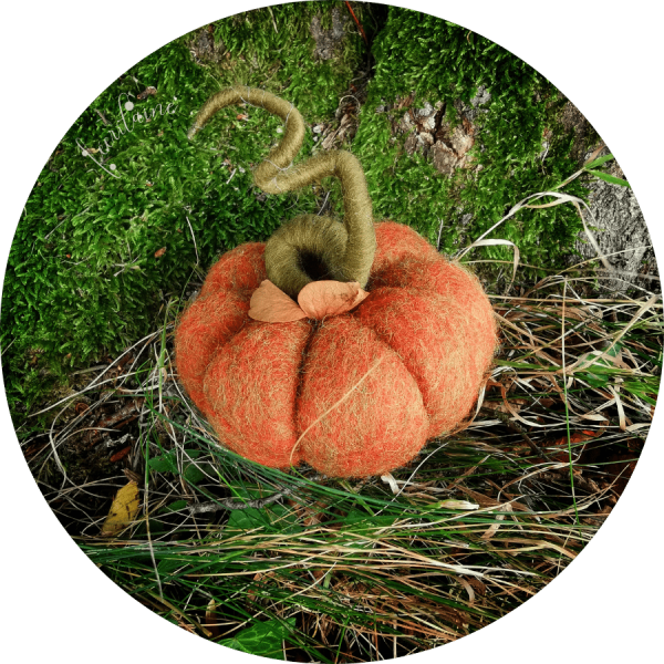 Citrouille orange et verte chinée
